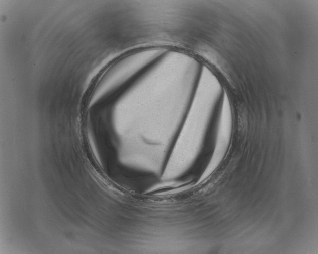 X0000071811460200607211700