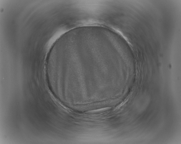 X0000071811463200607211700