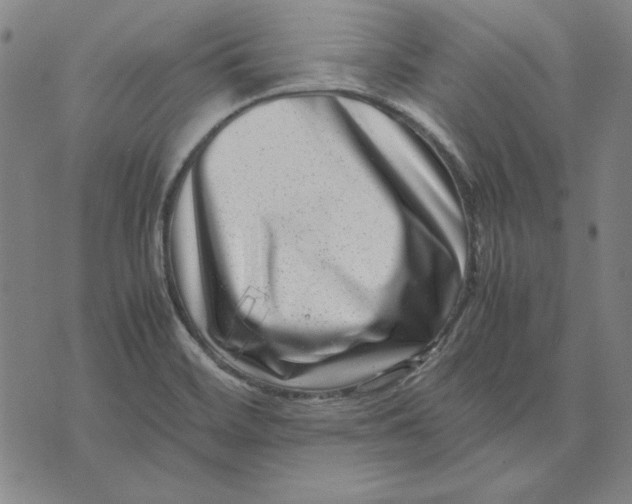 X0000071811468200607211659