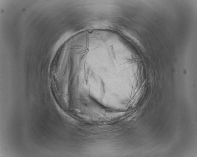 X0000071811471200607211659