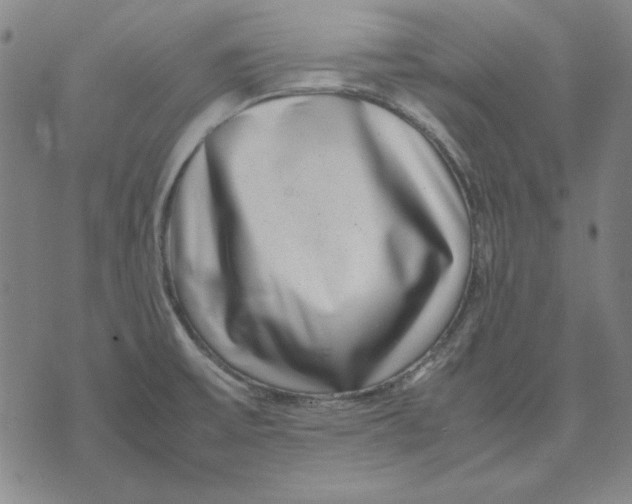 X0000071811475200607211659