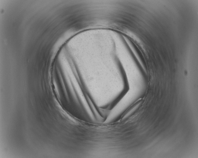X0000071811480200607211659