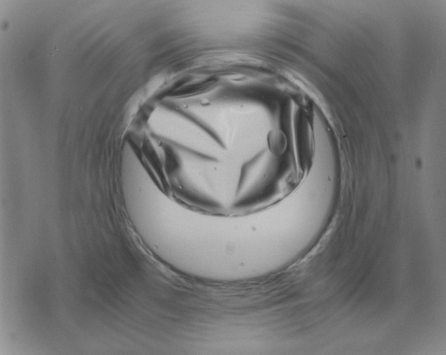 X0000071811481200607211659
