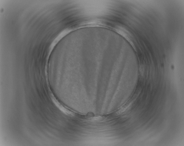 X0000071811482200607211659
