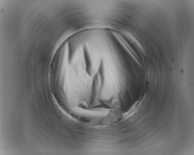 X0000071811484200607211659