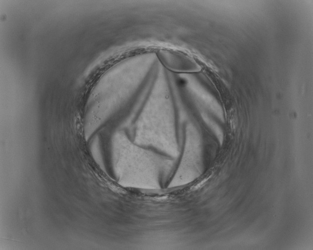 X0000071811495200607211658