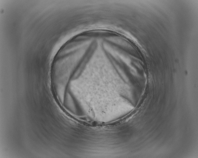 X0000071811512200607211659