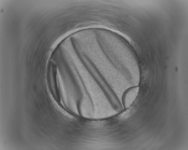 X0000071811518200607211659