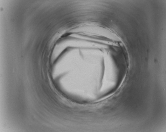 X0000071810001200607290004