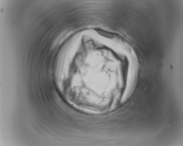 X0000071810002200607290004