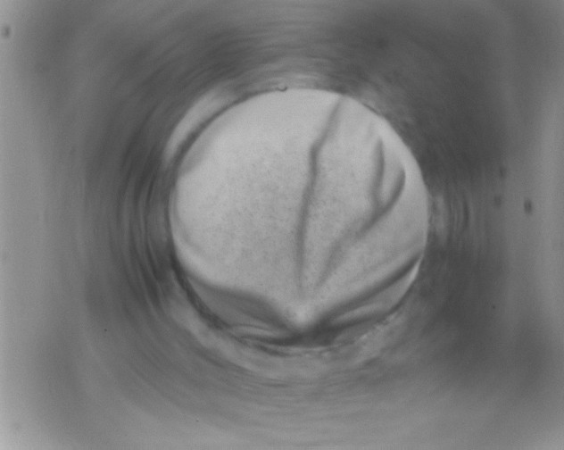 X0000071810004200607290004