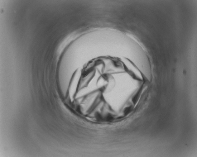 X0000071810007200607290004