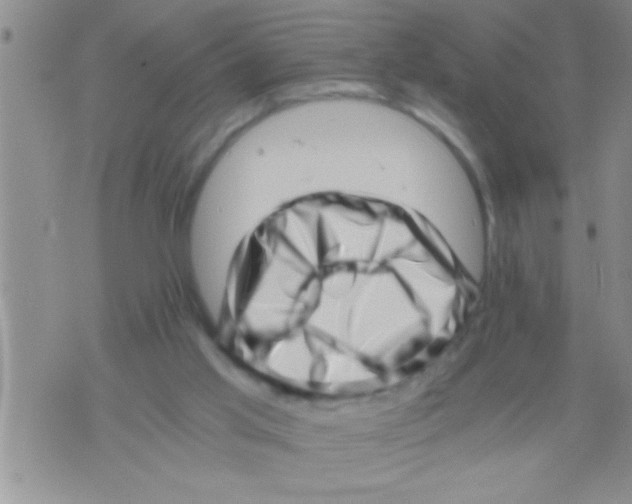X0000071810013200607290004