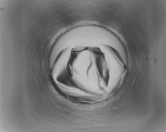 X0000071810015200607290004