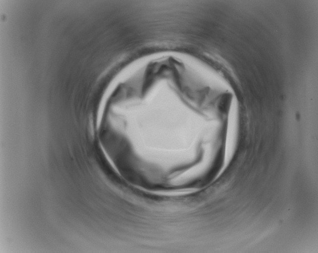 X0000071810020200607290004