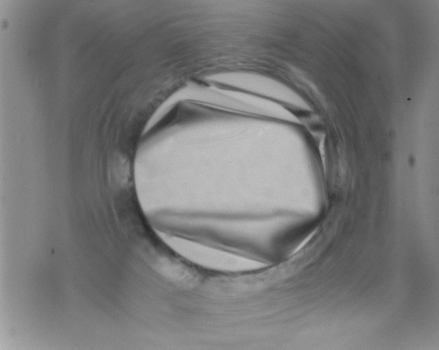 X0000071810025200607290004