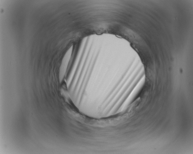X0000071810037200607290003