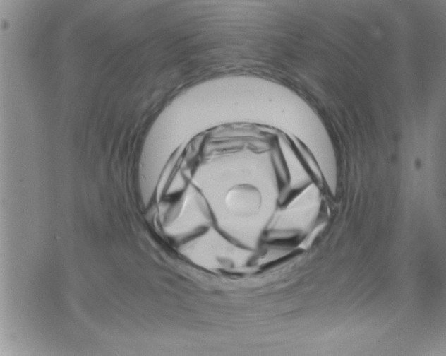 X0000071810039200607290003