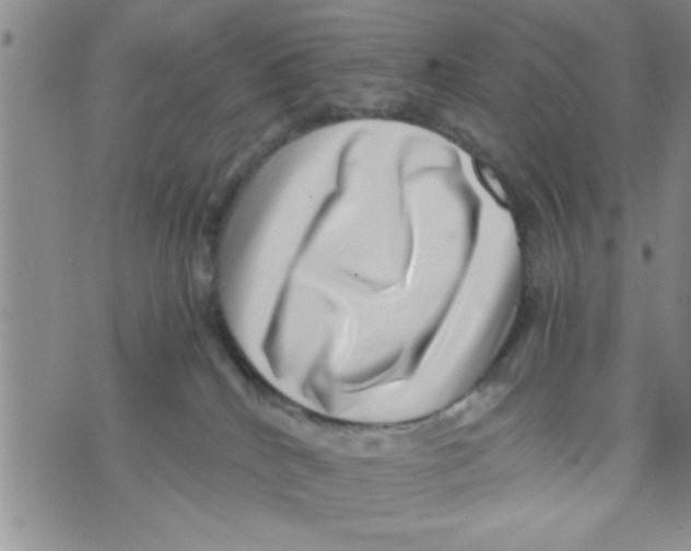 X0000071810040200607290003