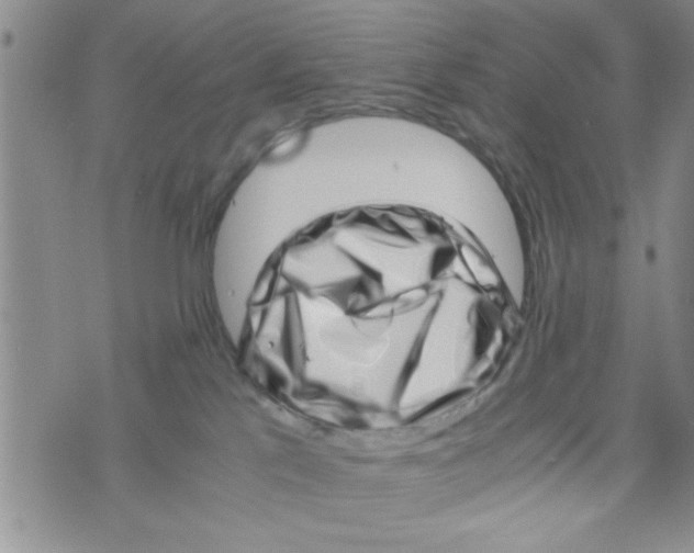 X0000071810041200607290003