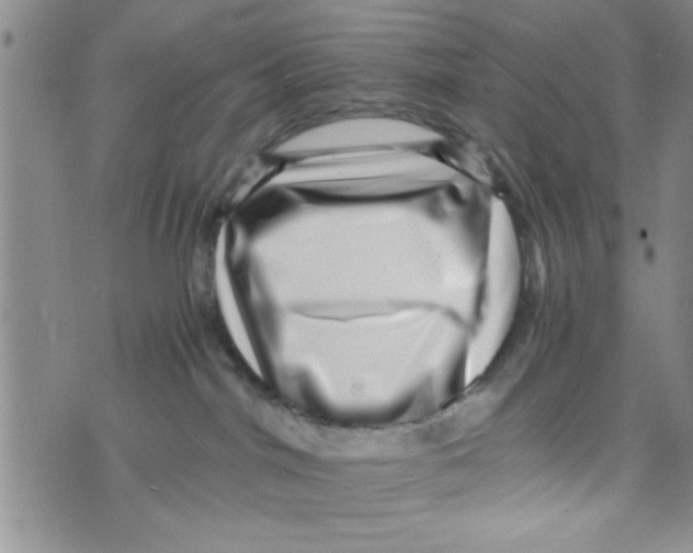 X0000071810044200607290003