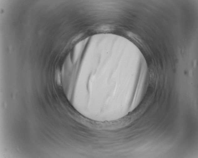 X0000071810046200607290003
