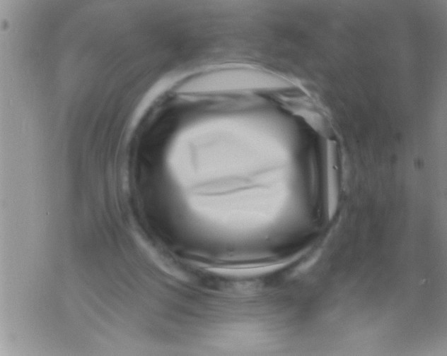 X0000071810056200607290002