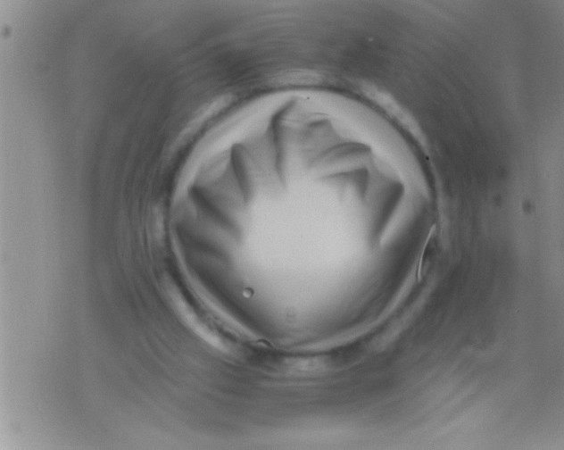 X0000071810057200607290002