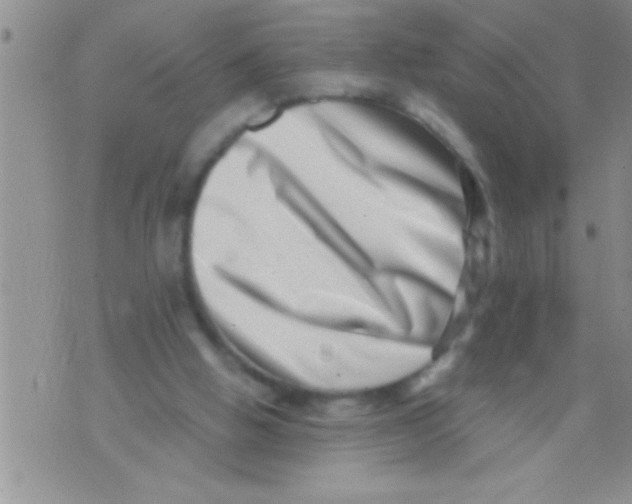 X0000071810058200607290003