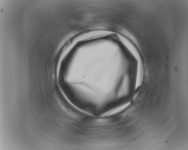 X0000071810059200607290003