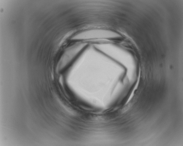 X0000071810062200607290003