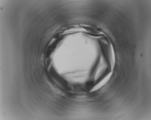 X0000071810066200607290003