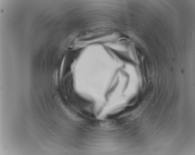 X0000071810070200607290003