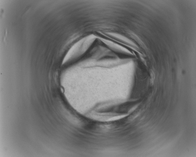 X0000071810071200607290003