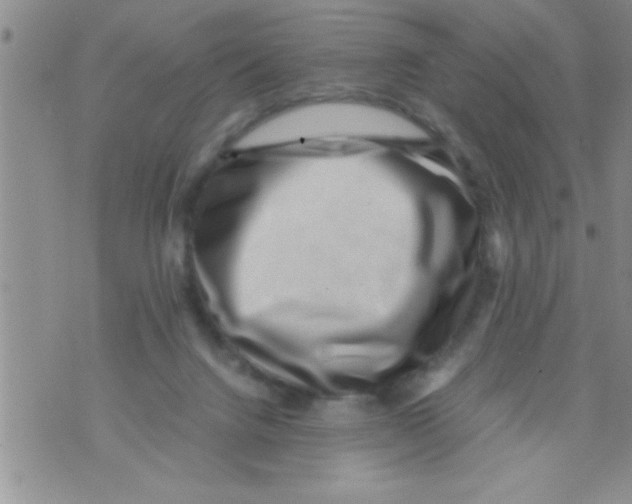 X0000071810072200607290003