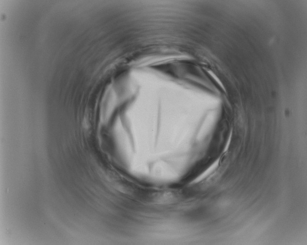 X0000071810074200607290003