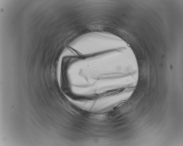 X0000071810081200607290003