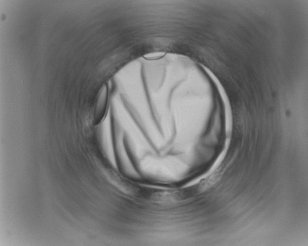 X0000071810082200607290003