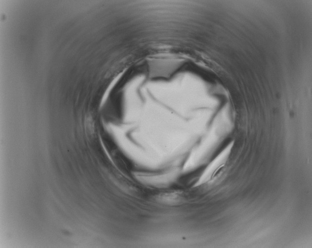 X0000071810086200607290003