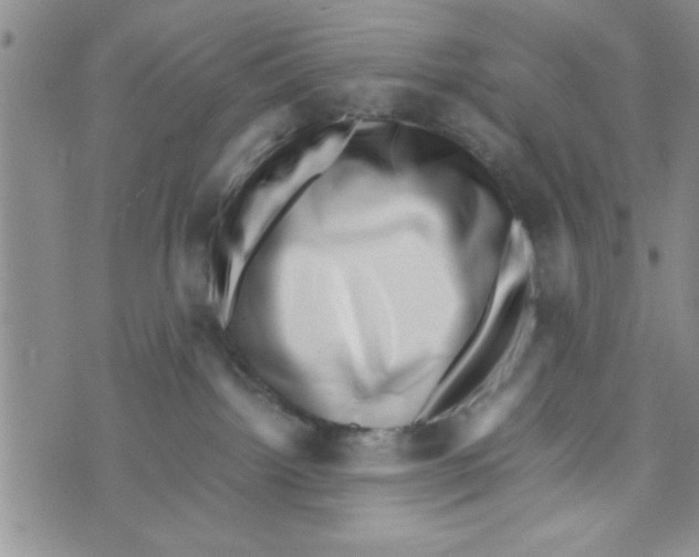 X0000071810092200607290003
