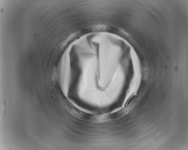 X0000071810093200607290003