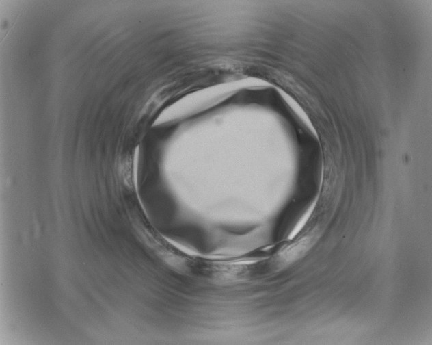 X0000071810096200607290003
