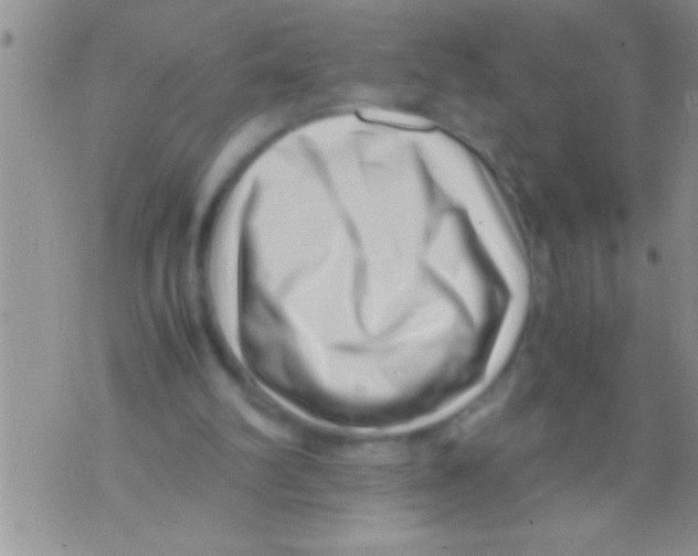 X0000071810102200607290002