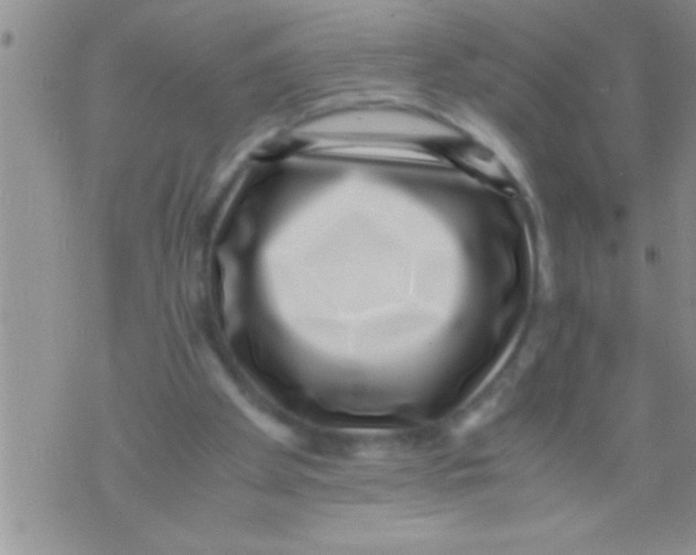 X0000071810105200607290002