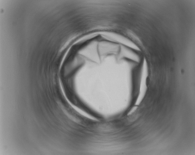 X0000071810106200607290002