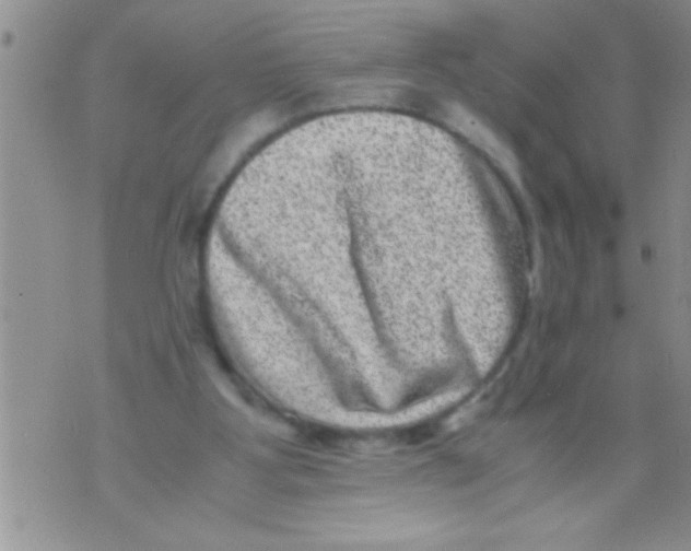 X0000071810107200607290002