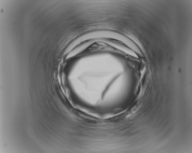 X0000071810109200607290002