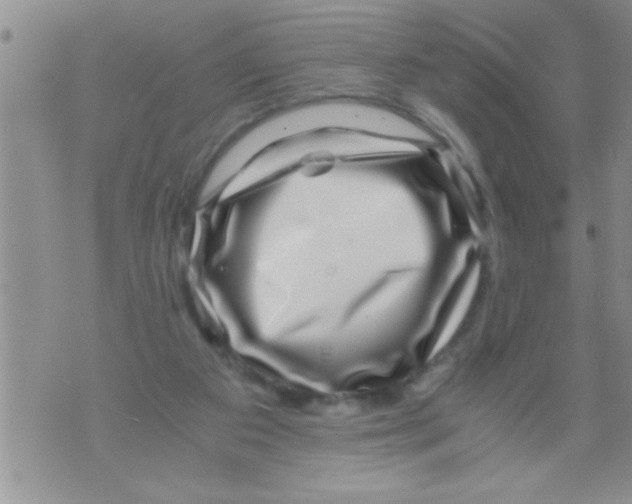X0000071810113200607290002
