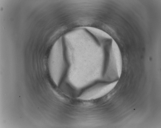 X0000071810114200607290002