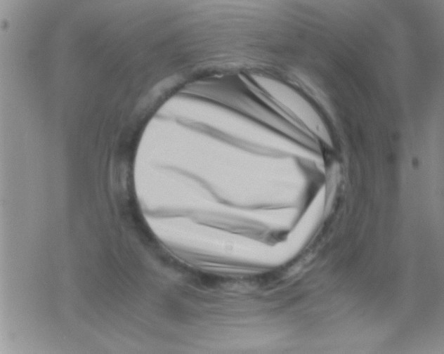 X0000071810115200607290002